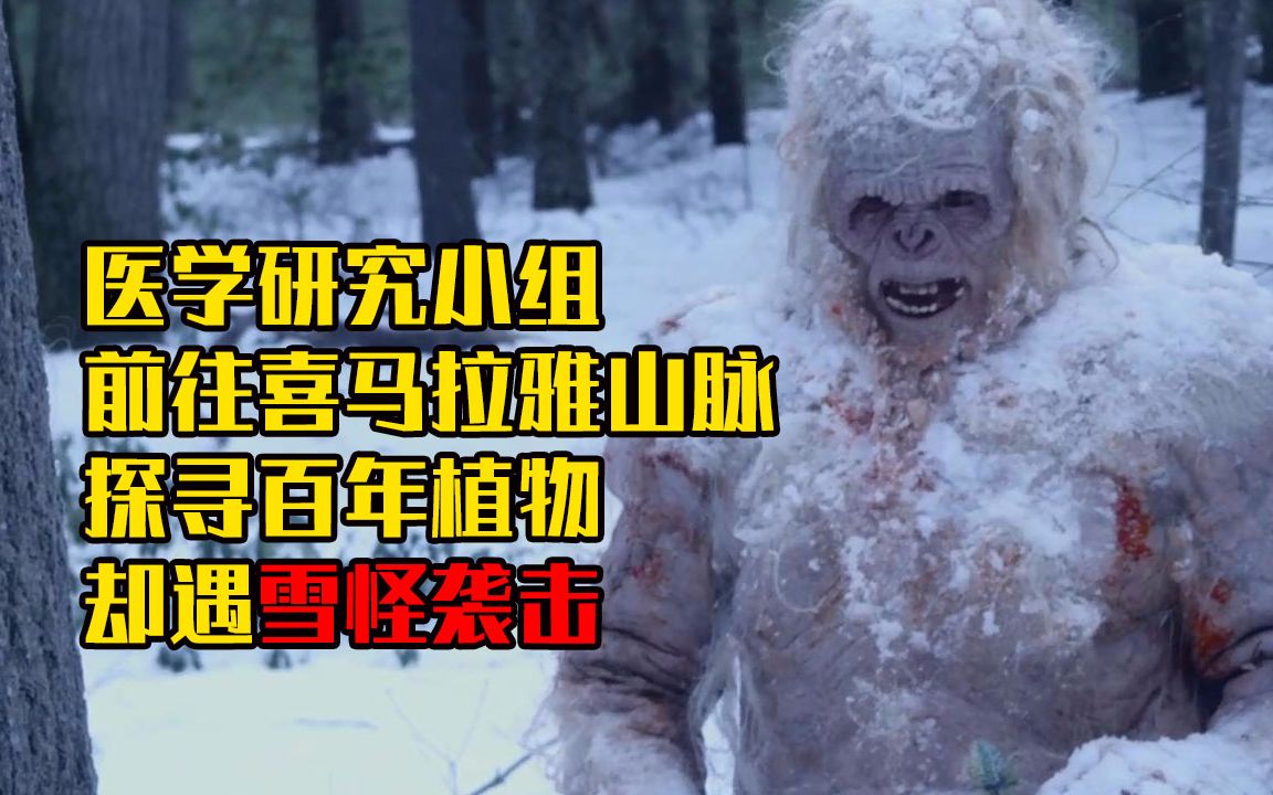 恐怖雪怪图片 雪山图片