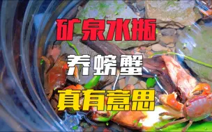 Скачать видео: 小伙用矿泉水瓶养螃蟹，不但养活了还养出了乐趣