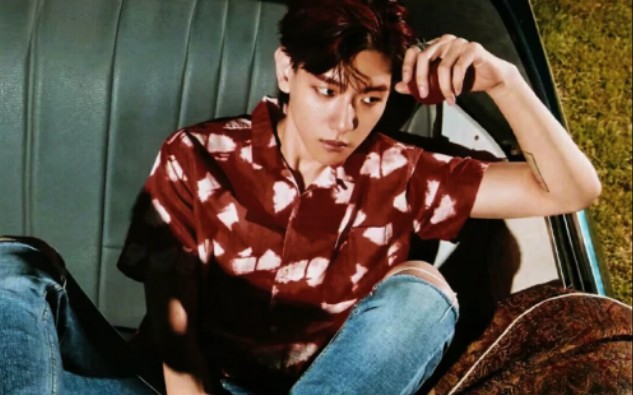 活动作品exo边伯贤东南亚毒枭长这样吗