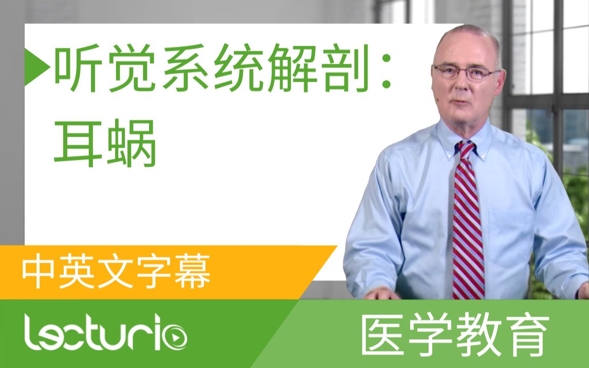 [Lecturio 医学教育] 听觉系统解剖:耳蜗 ——解剖学 (中英文字幕)哔哩哔哩bilibili