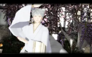 Descargar video: 【火影MMD】[落花情]震惊！木叶上忍旗木卡卡西的真实身份竟然是...