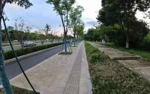 Download Video: 7.1 西溪湿地福堤跑步 8.5k（Insta360 GO3录制）