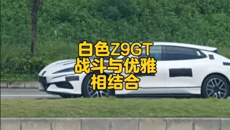 Download Video: 白色腾势Z9GT，优不优雅您说了算