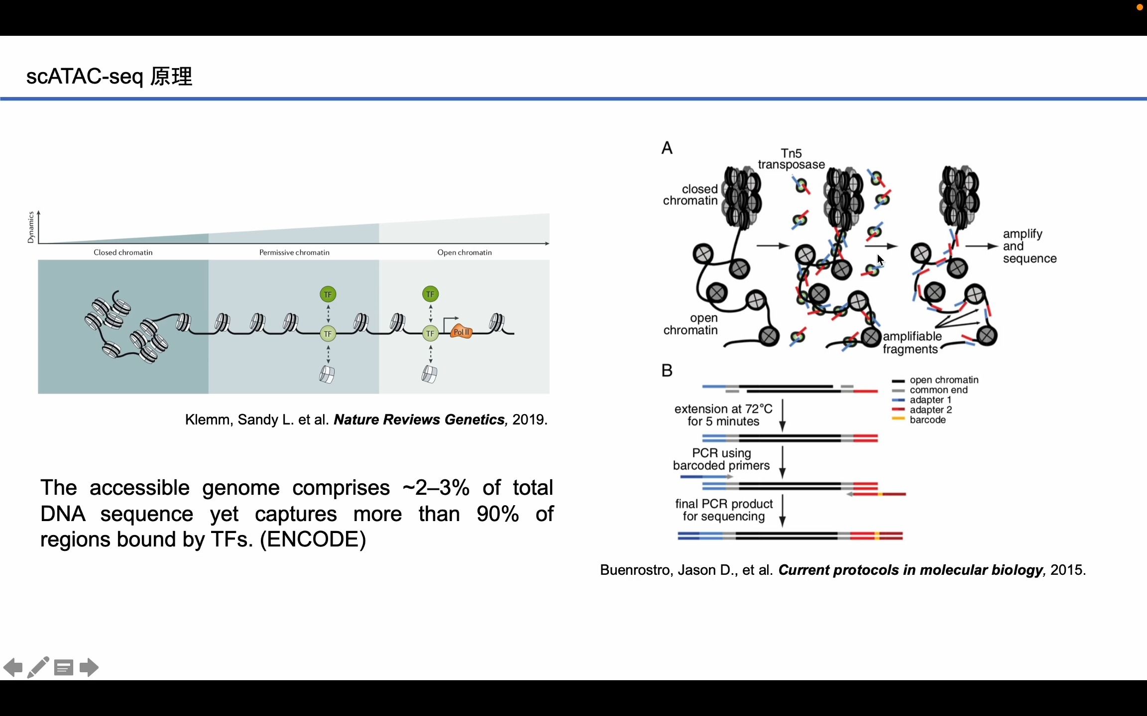 单细胞染色质可及性 (scATACseq) 数据分析  概述哔哩哔哩bilibili