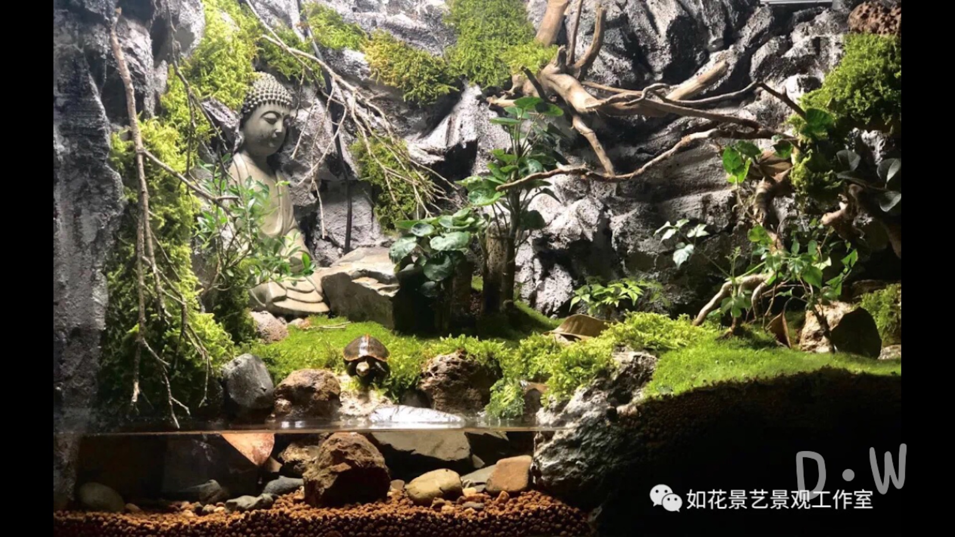 养龟也要有情调！累计耗时1天1晚制作一米生态造景。黄缘半水龟乌龟仿生态环境水陆溪流禅意造景。_哔哩哔哩_bilibili