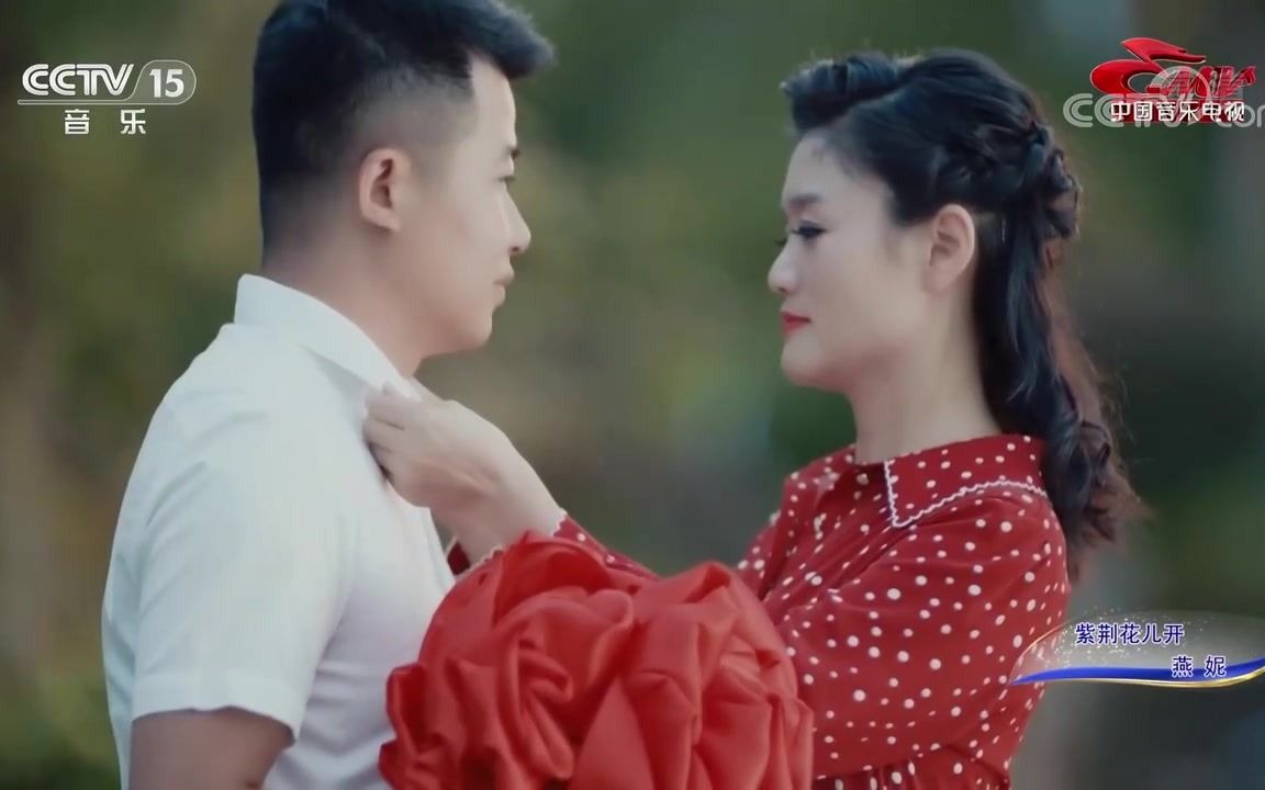 [图]歌曲《紫荆花儿开》演唱：燕妮