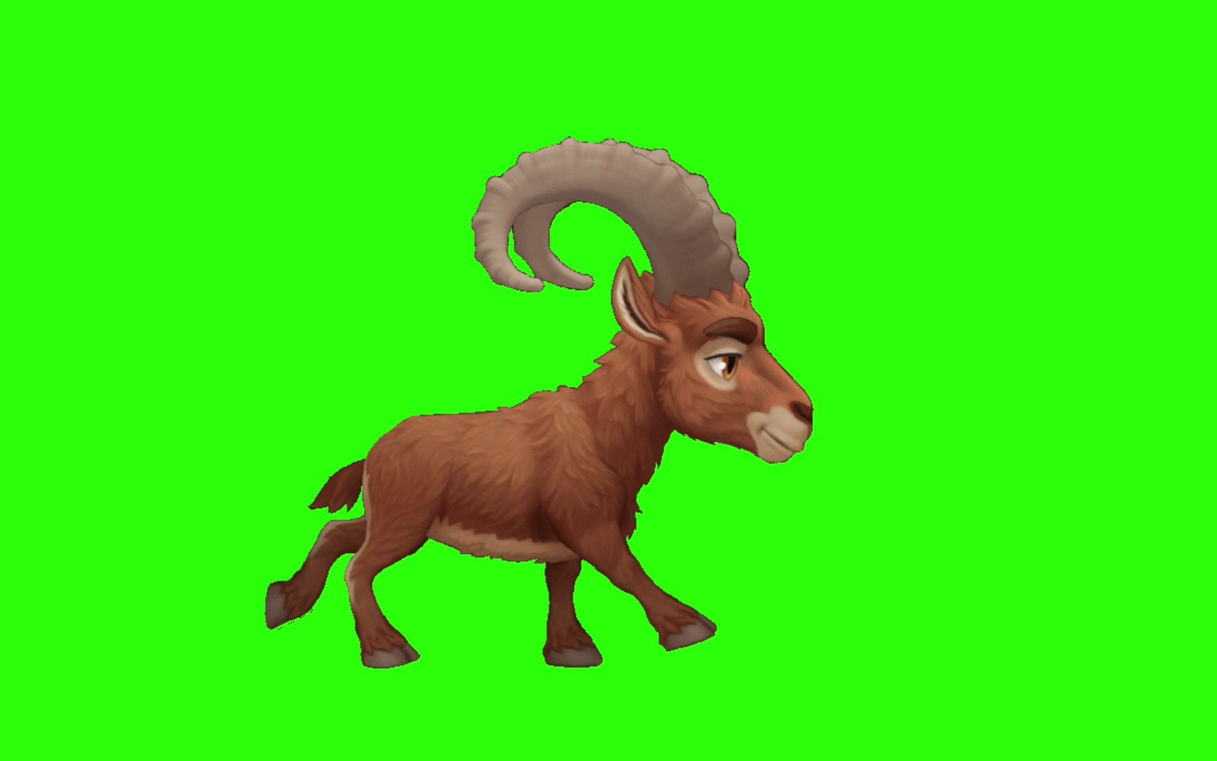 绿幕视频素材山羊