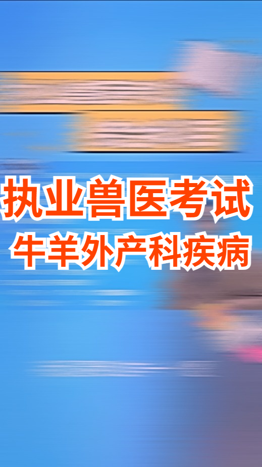 执业兽医资格考试牛羊外产科疾病的考题讲解哔哩哔哩bilibili