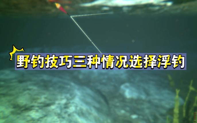 野钓技巧三种情况选择浮钓效果会更好哔哩哔哩bilibili