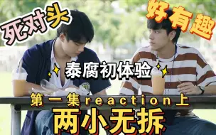 Download Video: 【两小无拆reaction】第一集上 第一次看泰腐和我想象的基调完全不同诶