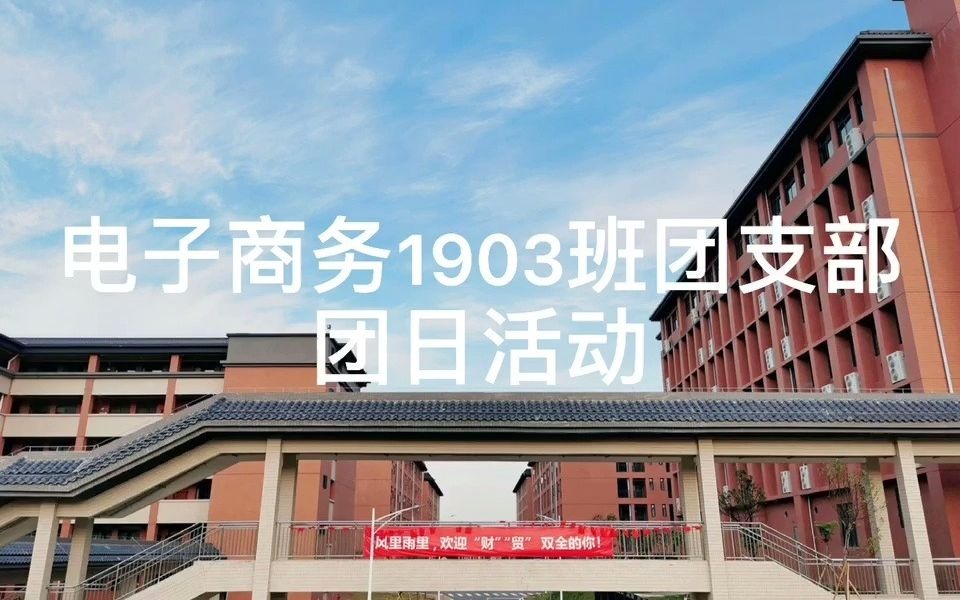 广东财贸职业学院经济贸易学院电子商务专业1903班团支部团日活动视频哔哩哔哩bilibili