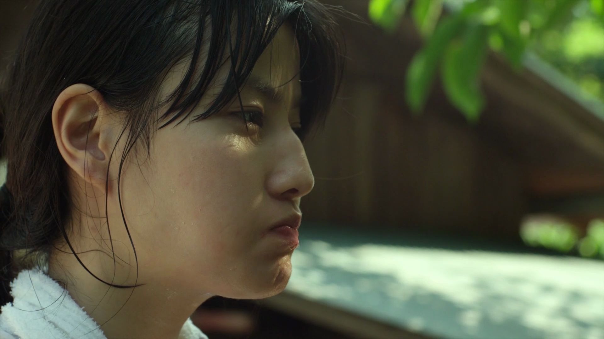 小森林(春秋篇)