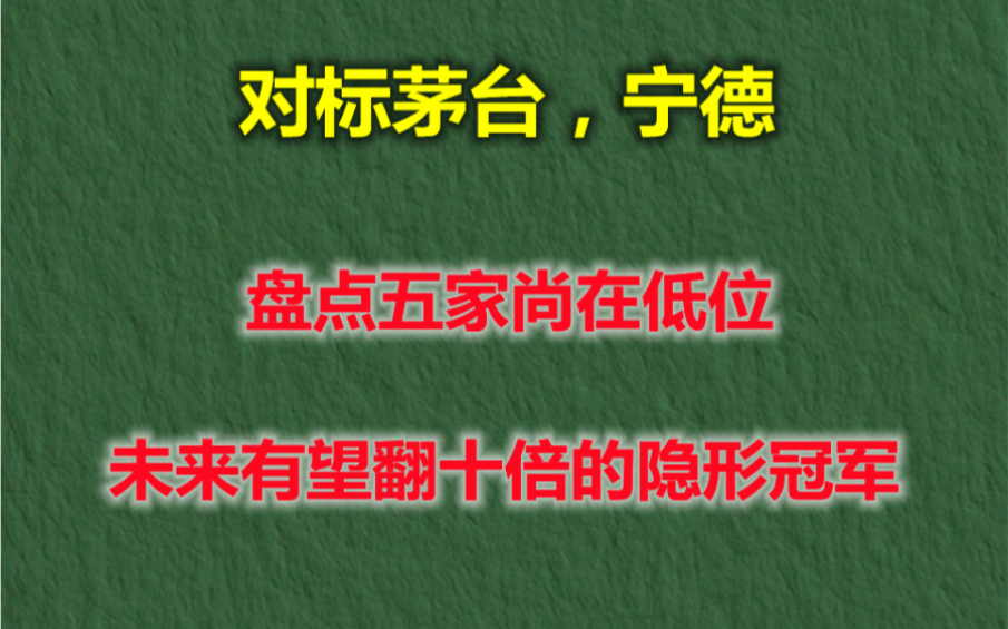 盘点五只尚在低位,未来有望翻十倍的隐形冠军企业,未来发展空间可对标茅台,宁德!哔哩哔哩bilibili