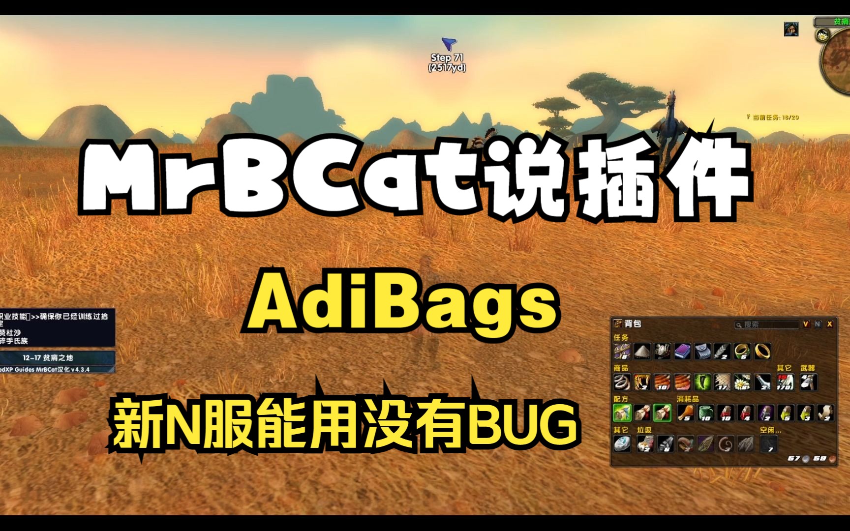 新N服非常好用的背包插件AdiBags没有BUG放心用哔哩哔哩bilibili