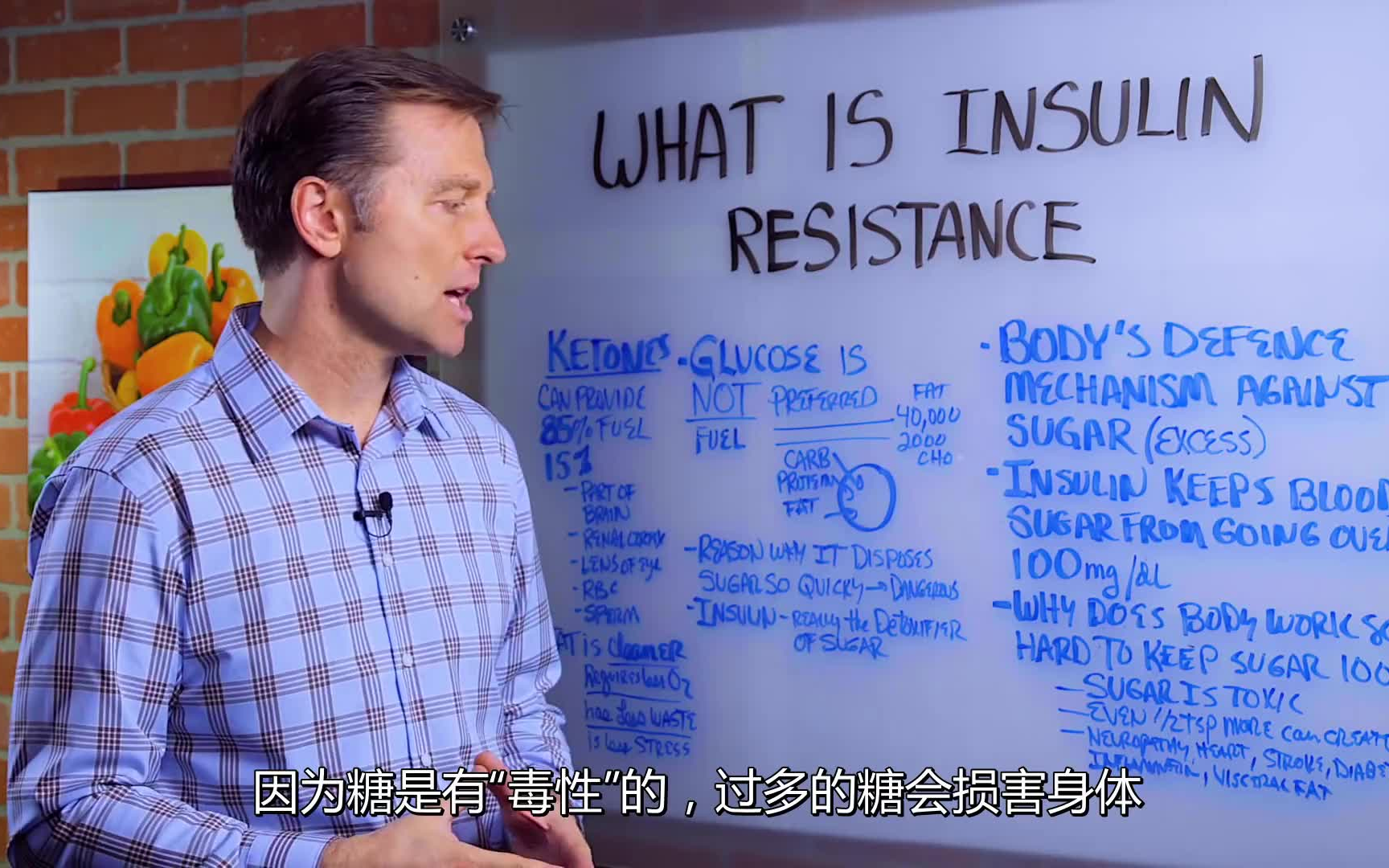 drberg什么是胰岛素抵抗