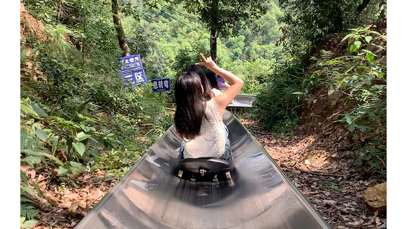 岳麓山滑道自存