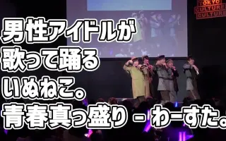 いぬねこ 青春真っ盛り 搜索结果 哔哩哔哩 Bilibili