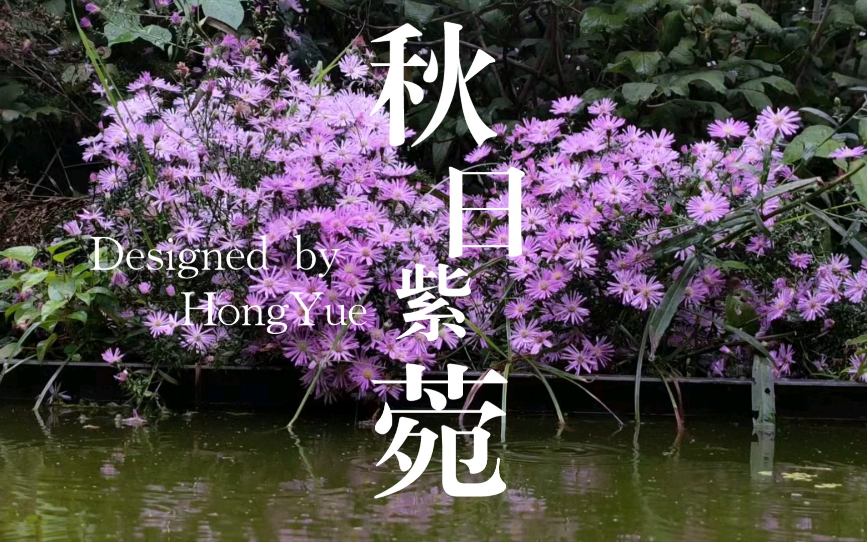 「武汉沙湖公园C区」Autumn Gardening哔哩哔哩bilibili