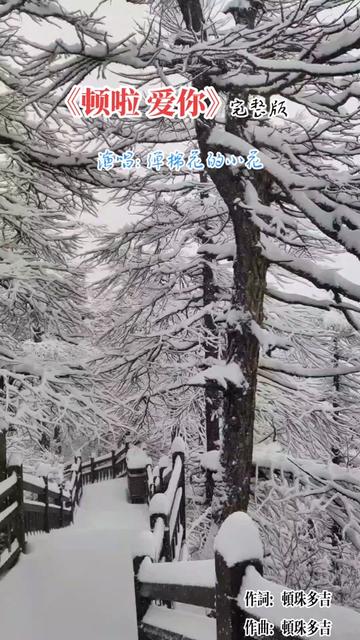 弹棉花的小花《顿啦爱你》完整小花版~望着天下起了雪,满天的雪花是那么浪漫哔哩哔哩bilibili