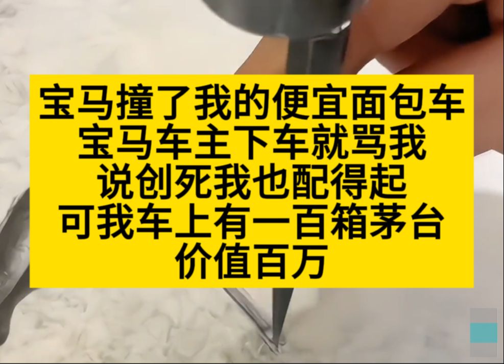 宝马撞了我的车,叫嚣创死我也配得起,可我车上有百万茅台……小说推荐哔哩哔哩bilibili