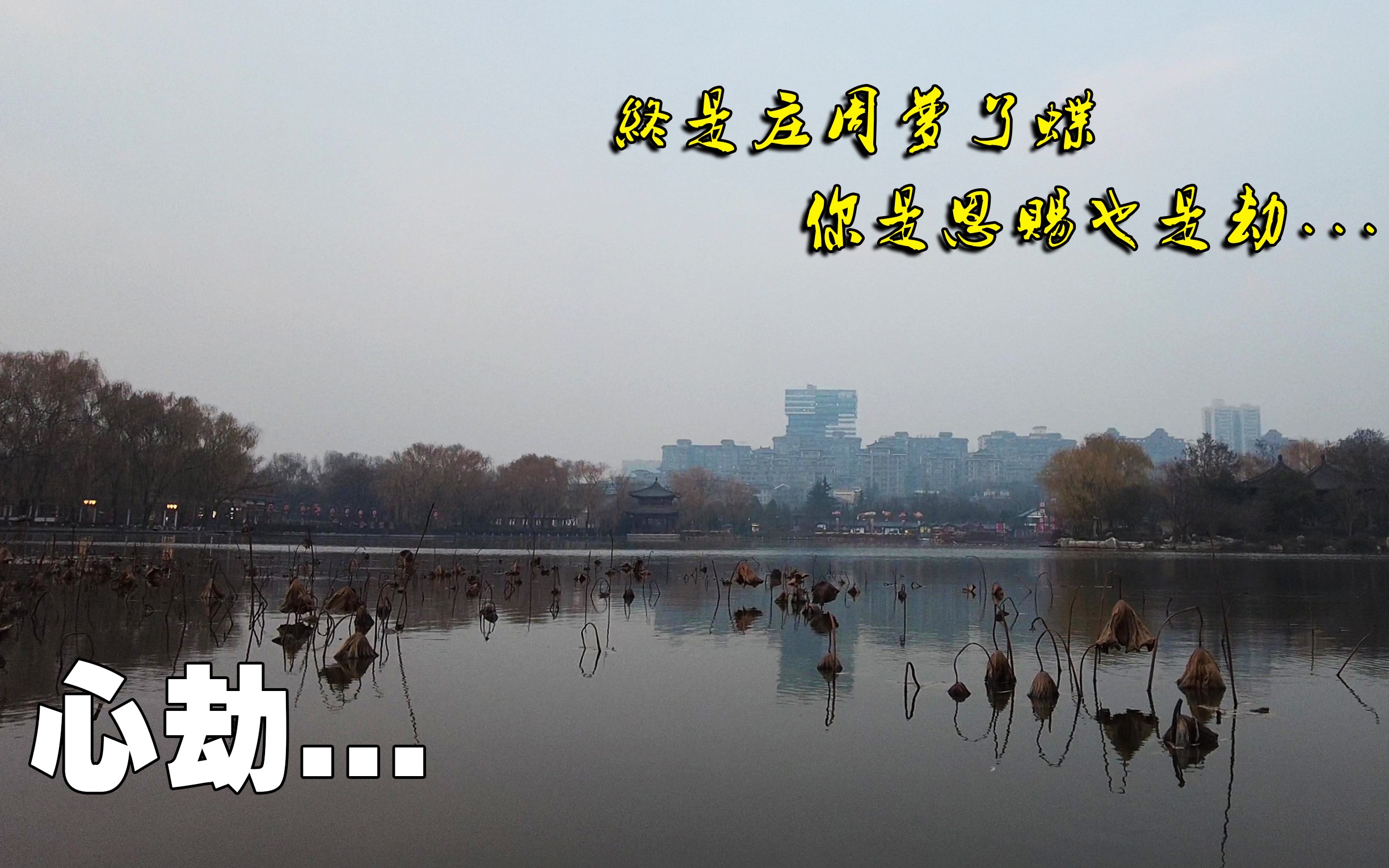 终是庄周梦了蝶,你是恩赐也是劫.山鸟与鱼不同路,从此山水不相逢.