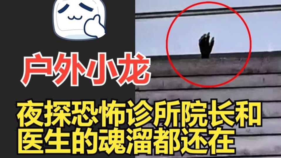 【户外探险小龙】2025