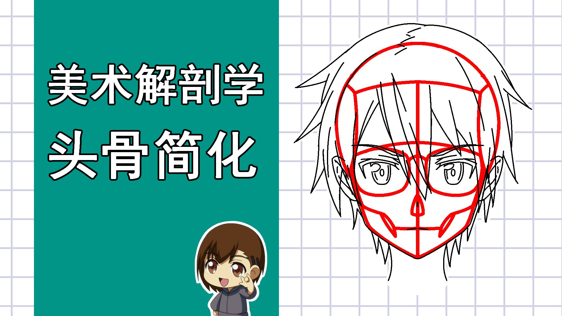 美术解剖学-8-头骨简化理解思路