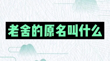 老舍的原名叫什么? #新知创作人 #楷书 #练字哔哩哔哩bilibili