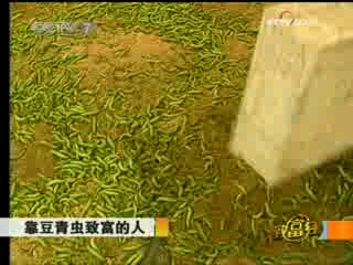 《致富经》20081011哔哩哔哩bilibili