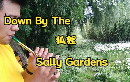 [图]狐吹-Down By The Sally Gardens