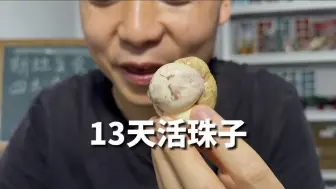 Download Video: 13天活珠子，敢看不敢吃，吃了忘不掉！