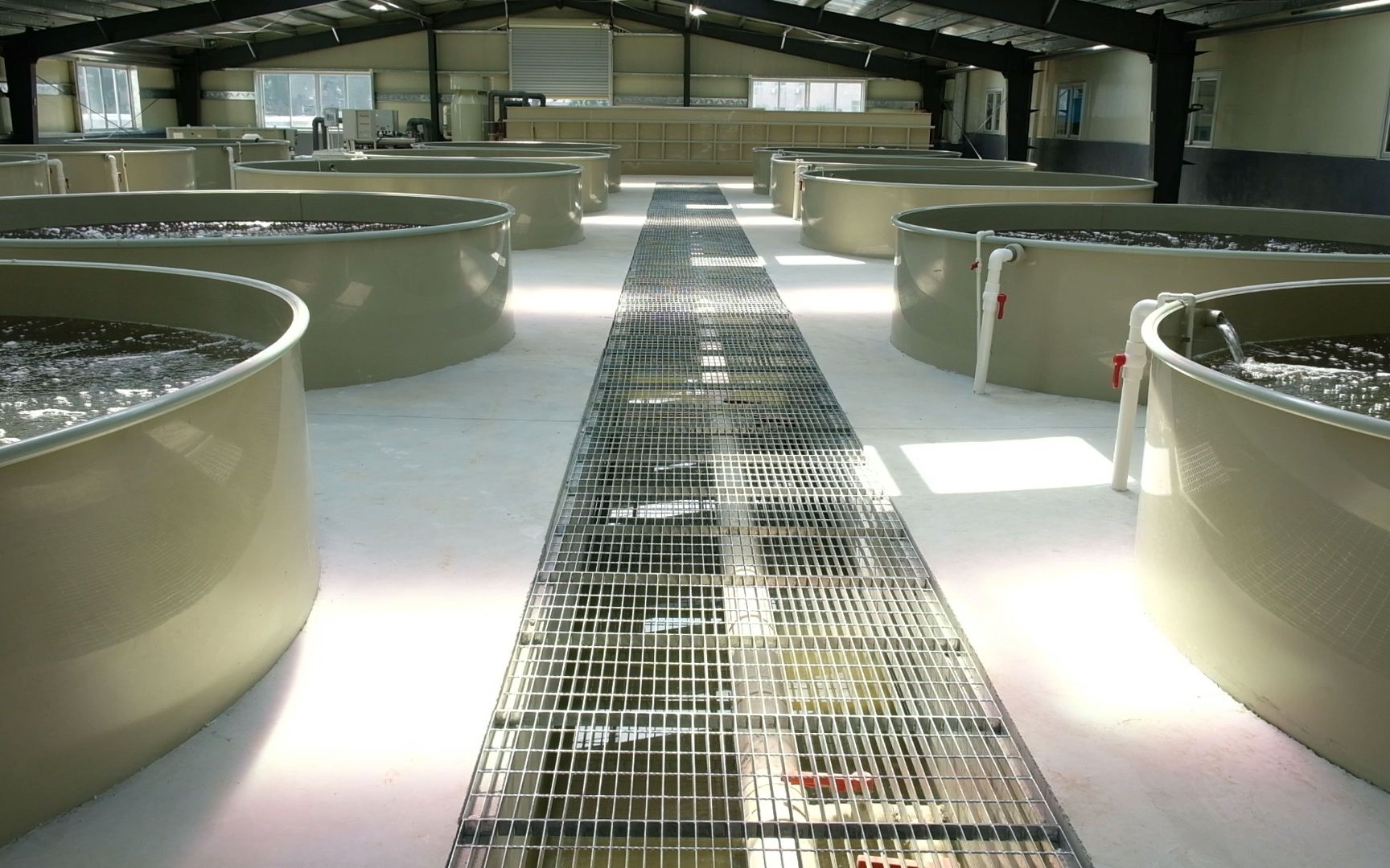 探索种养殖污水循环净化新模式,循环养殖尾水处理新技术