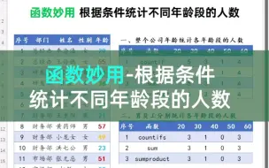 Descargar video: 函数妙用-根据条件统计不同年龄段人数