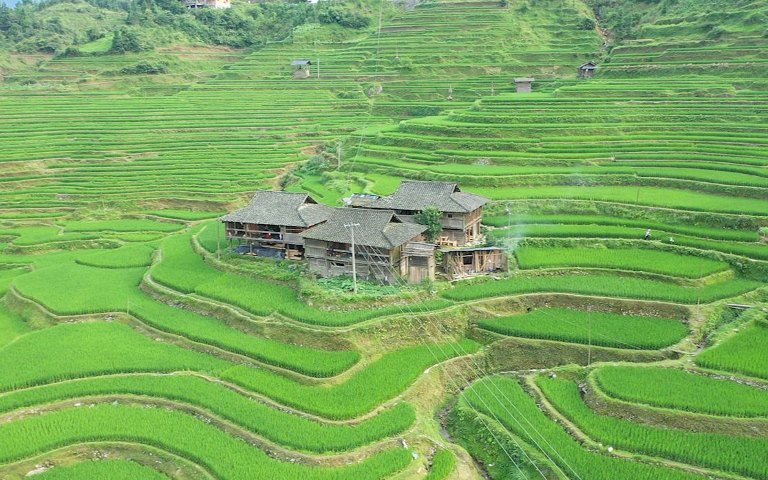 贵州大山里的村庄不通车路房子建在梯田中如世外桃源