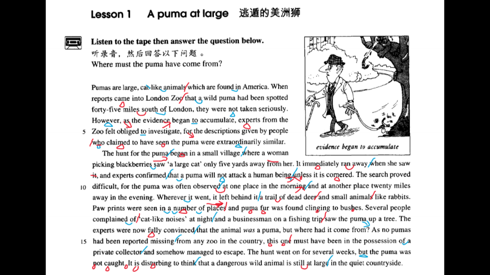 发音练习—新概念英语3 Lesson 1 A puma at large哔哩哔哩bilibili