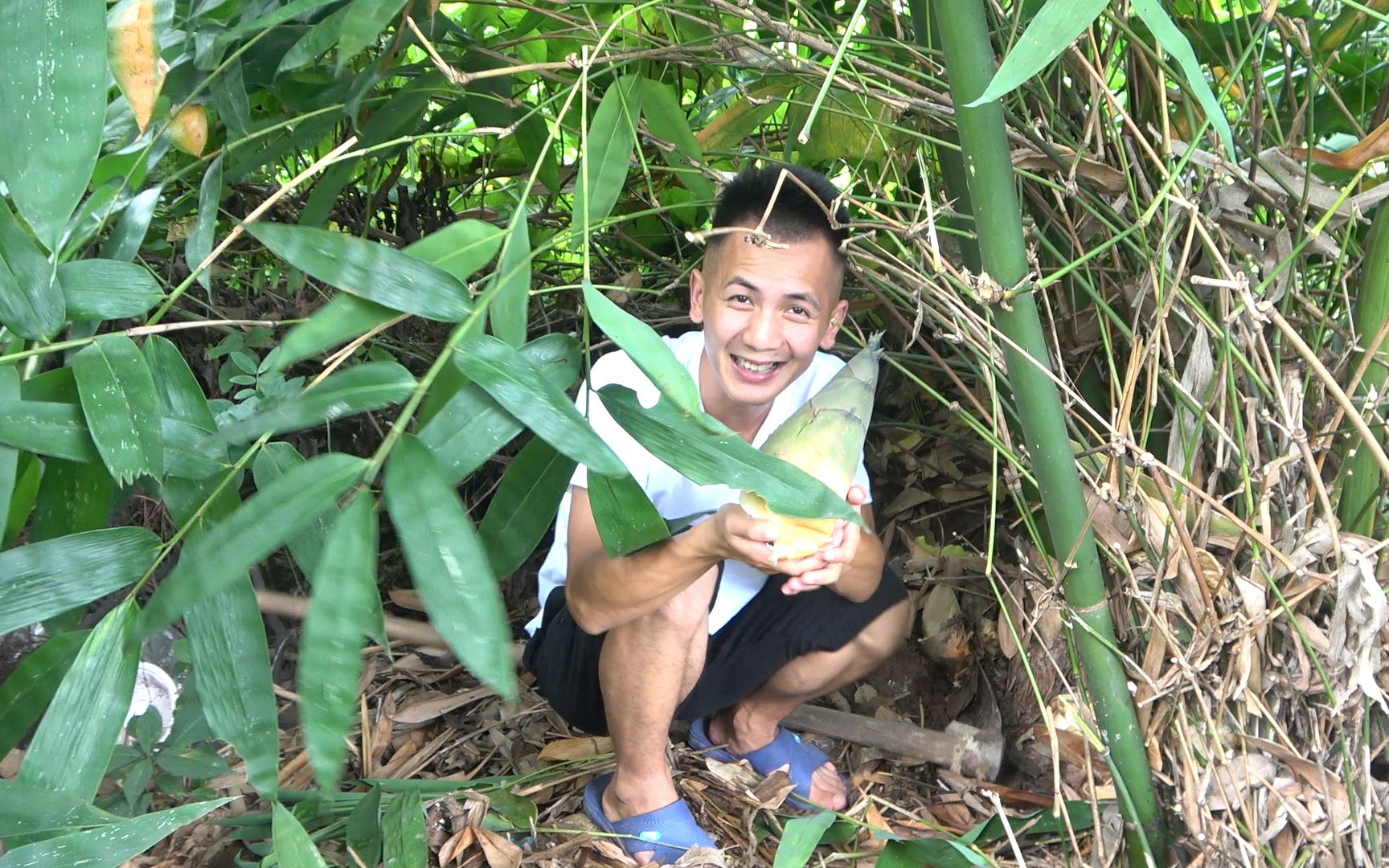 明二哥去山里挖麻竹笋,摘猴儿豆吃响果桃,满满的山货带回家_哔哩哔哩