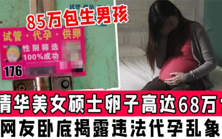 85万包生男孩,清华美女硕士卵子高达68万?网友揭露违法代孕乱象哔哩哔哩bilibili