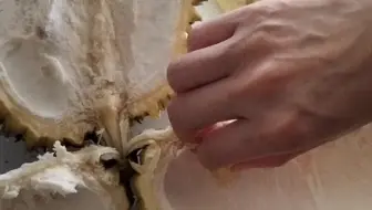 今天开个榴莲盲盒