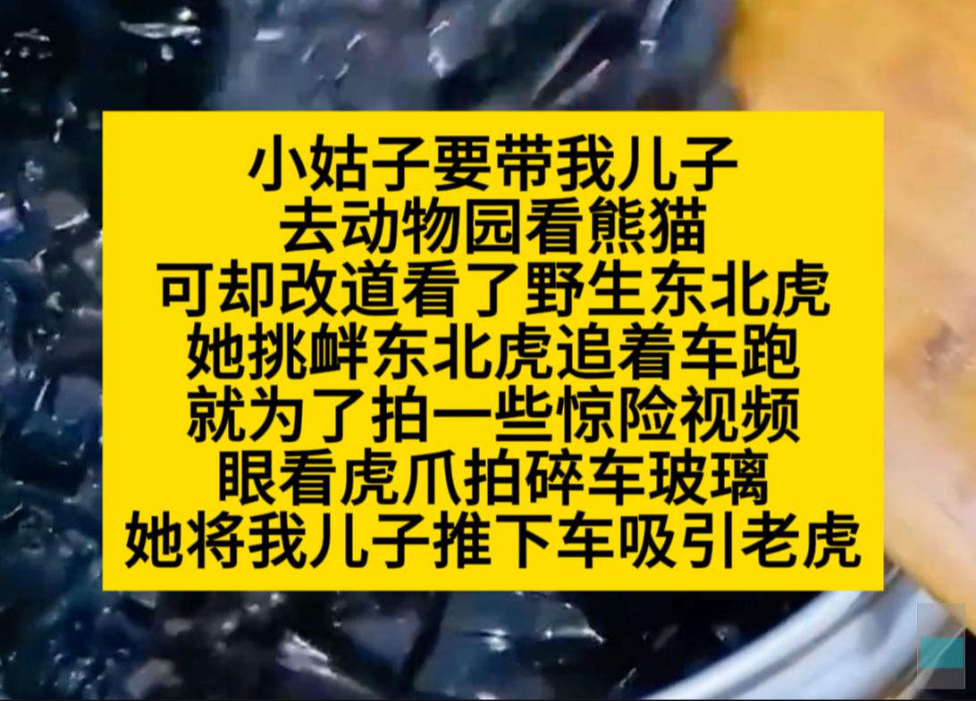 小姑子要带我儿子去来看熊猫,结果去了猛兽区,只为了拍惊险视频……小说推荐哔哩哔哩bilibili