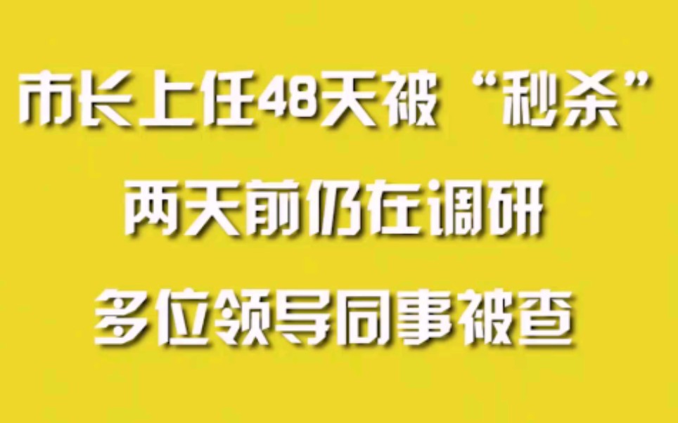 市长上任48天被“秒杀”,两天前仍在调研,多位领导同事被查哔哩哔哩bilibili