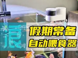 Tải video: 假期出行游玩家里的鱼缸咋办呢？ 建议弄个鱼缸自动喂食器，但不能乱用，给大家一些建议