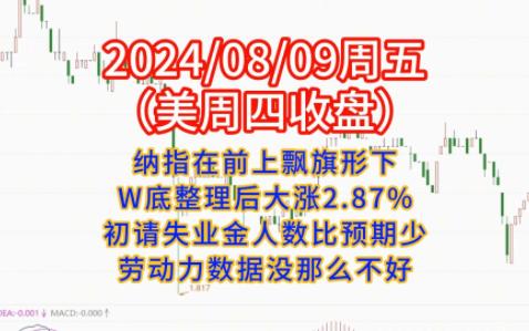 20240809纳指在跌破上飘旗形的W底整理后大涨2.87%,初请失业金人数比预期少,劳动力数据没那么不好.哔哩哔哩bilibili