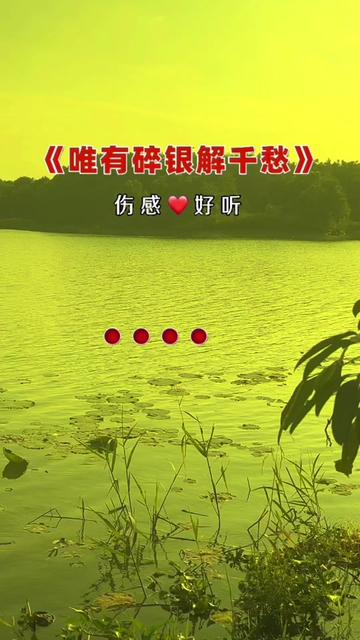 唯有碎银解千愁#用音乐诉说情感 #好歌推荐