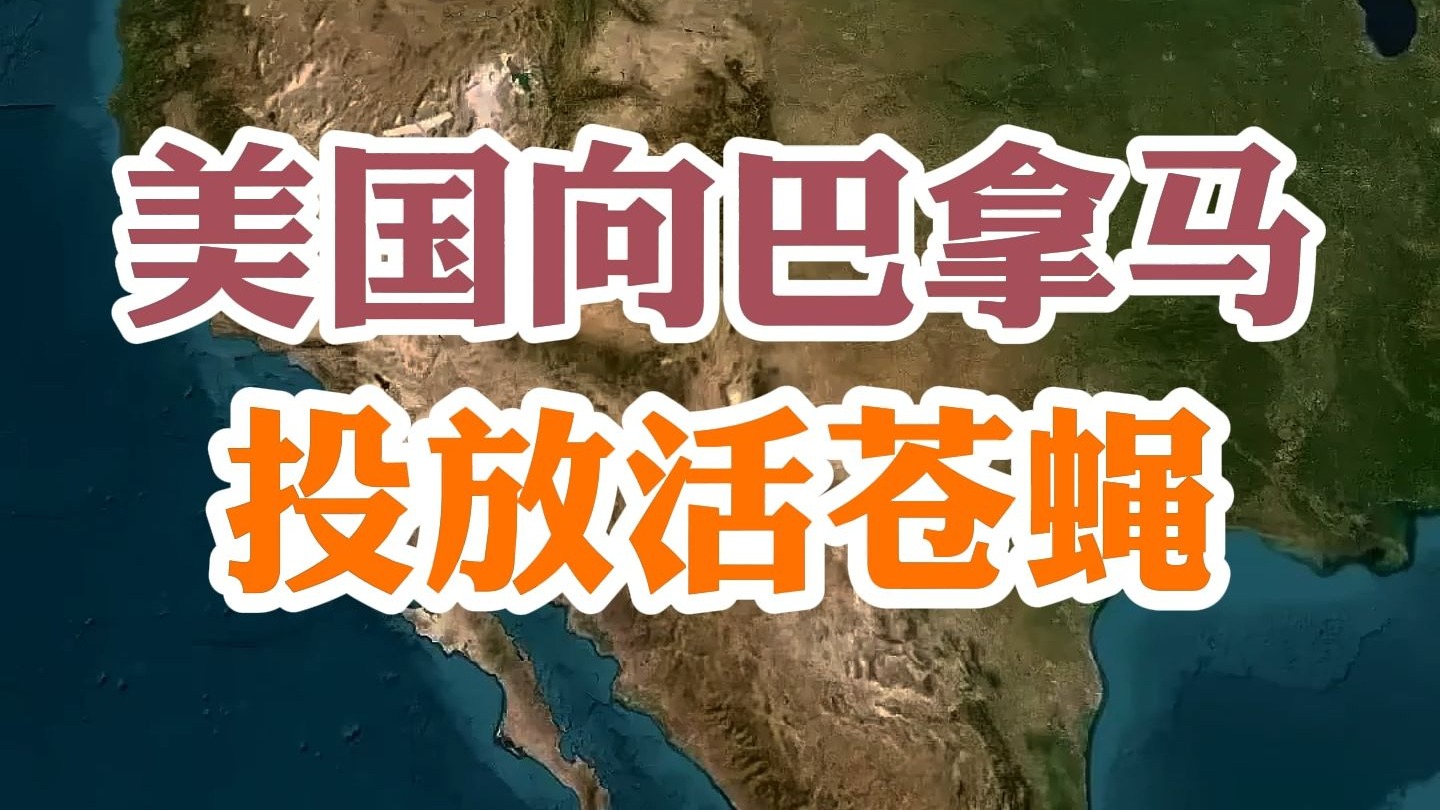 美国每周向巴拿马投放活苍蝇
