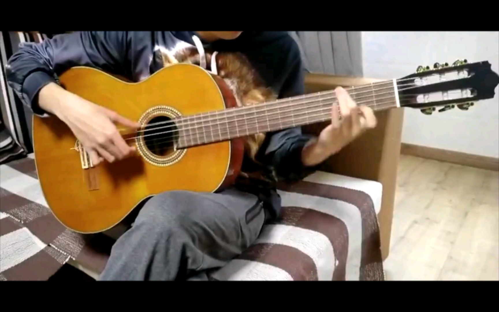 电鹿真人小提琴_哔哩哔哩_bilibili