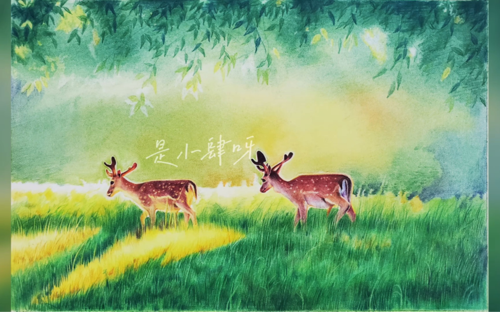 【彩铅】呦呦林间鹿(过程图)