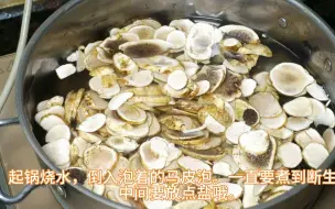 Download Video: 干腌菜炒马皮泡菌，云南吃菌高峰季啦。今天吃个马皮泡菌（马勃）！太好吃了。下饭得很呀！碳水得超标了吧？