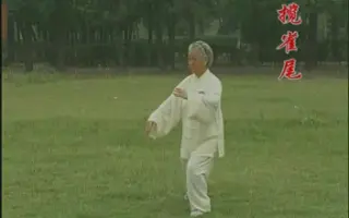 杨氏太极拳85式 哔哩哔哩 Bilibili