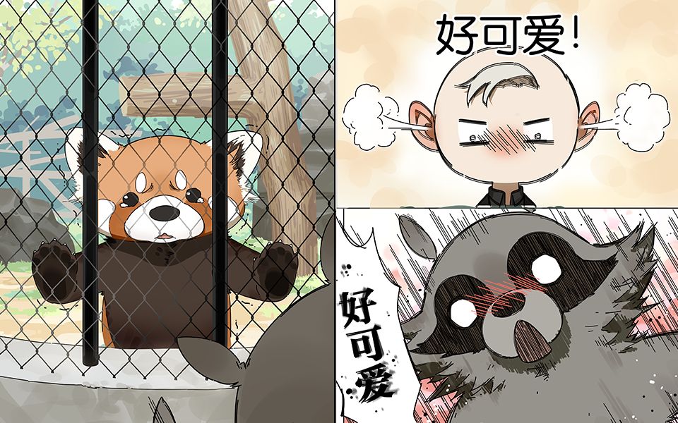 [图]【动态漫画】请叫我小熊猫 第三话（秃头老板为了小萌宠竟然买下了整个动物园！）