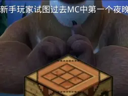 Download Video: 新手玩mc的第一个夜晚